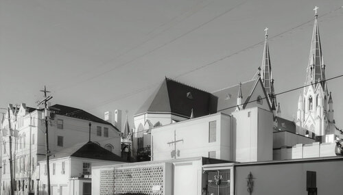 SAVANNAH- AN ENCLAVE Aleks Rosenberg