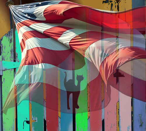 Stars and Stripes - Black Cat - Picket Fence von Aleks Rosenberg, Digital kaufen auf Singulart