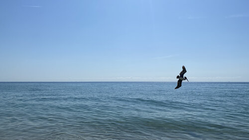 Sunny Isles, Florida - The Diver von Aleks Rosenberg, Fotografie kaufen auf Singulart