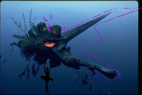 Guanus Canal, Brooklyn13, NY -Smiling from the Deep von Aleks Rosenberg, Fotografie kaufen auf Singulart