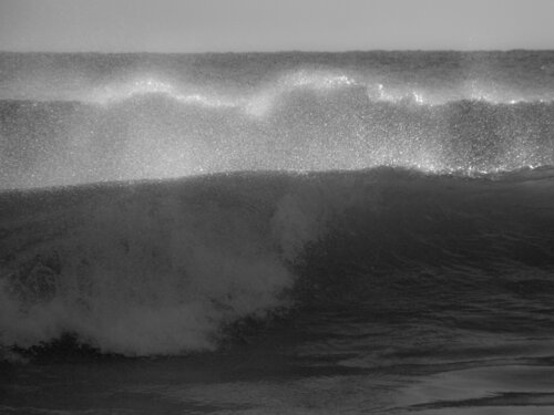 S-005- HURRICANE SANDY di Aleks Rosenberg, Fotografia in vendita su Singulart