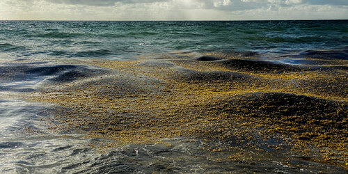 S-025 - ROLLING HILLS ON WATER van Aleks Rosenberg, Fotografie te koop op Singulart