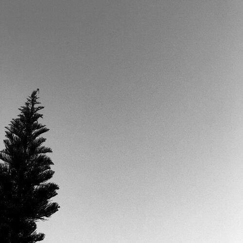 VENTAGE POINT by Aleks Rosenberg, 사진 for Sale on Singulart