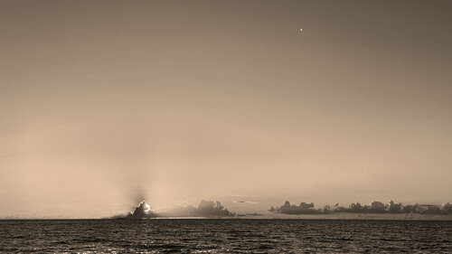 50 - YOU CAN COME OUT NOW di Aleks Rosenberg, Fotografia in vendita su Singulart