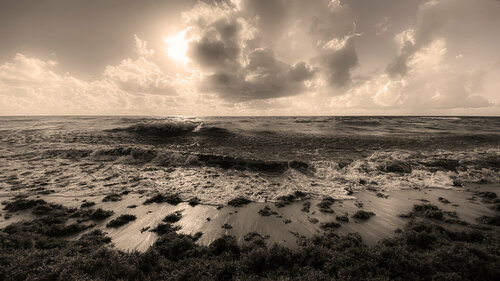 54 - RETREAT de Aleks Rosenberg, Fotografía a la venta en Singulart