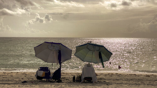 56 - TWO UMBRELLAS Aleks Rosenberg