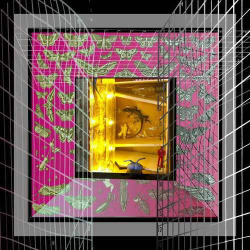 A35 - Collector von Aleks Rosenberg, Fotografie kaufen auf Singulart