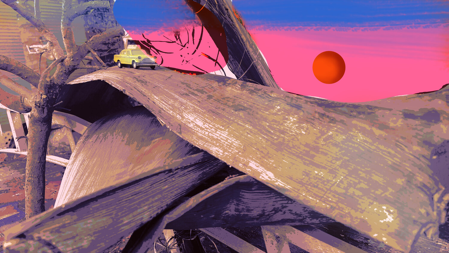 IMG 554-Road Not Taken Aleks Rosenberg