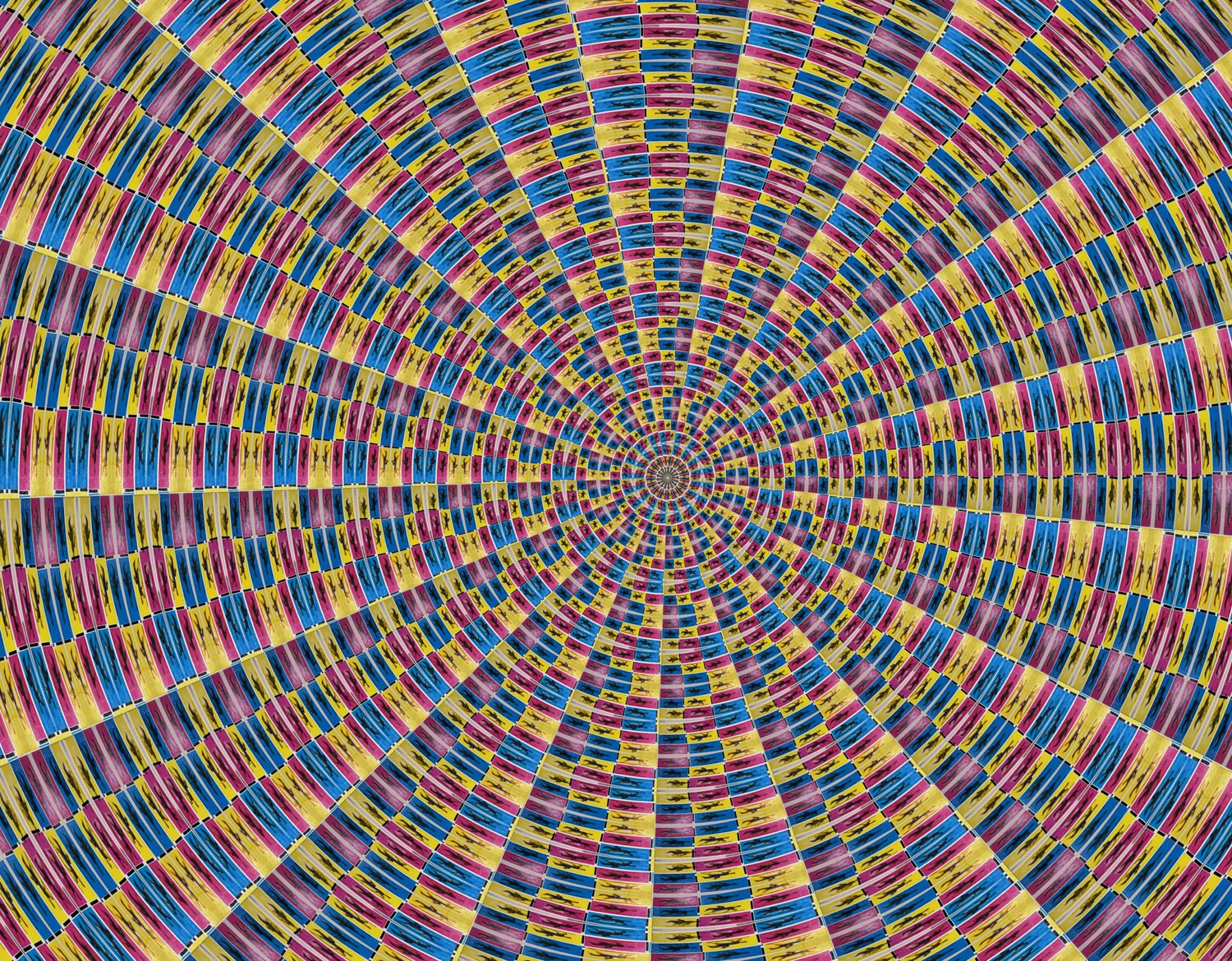 VORTEX  10 - It's a Horse Race Aleks Rosenberg