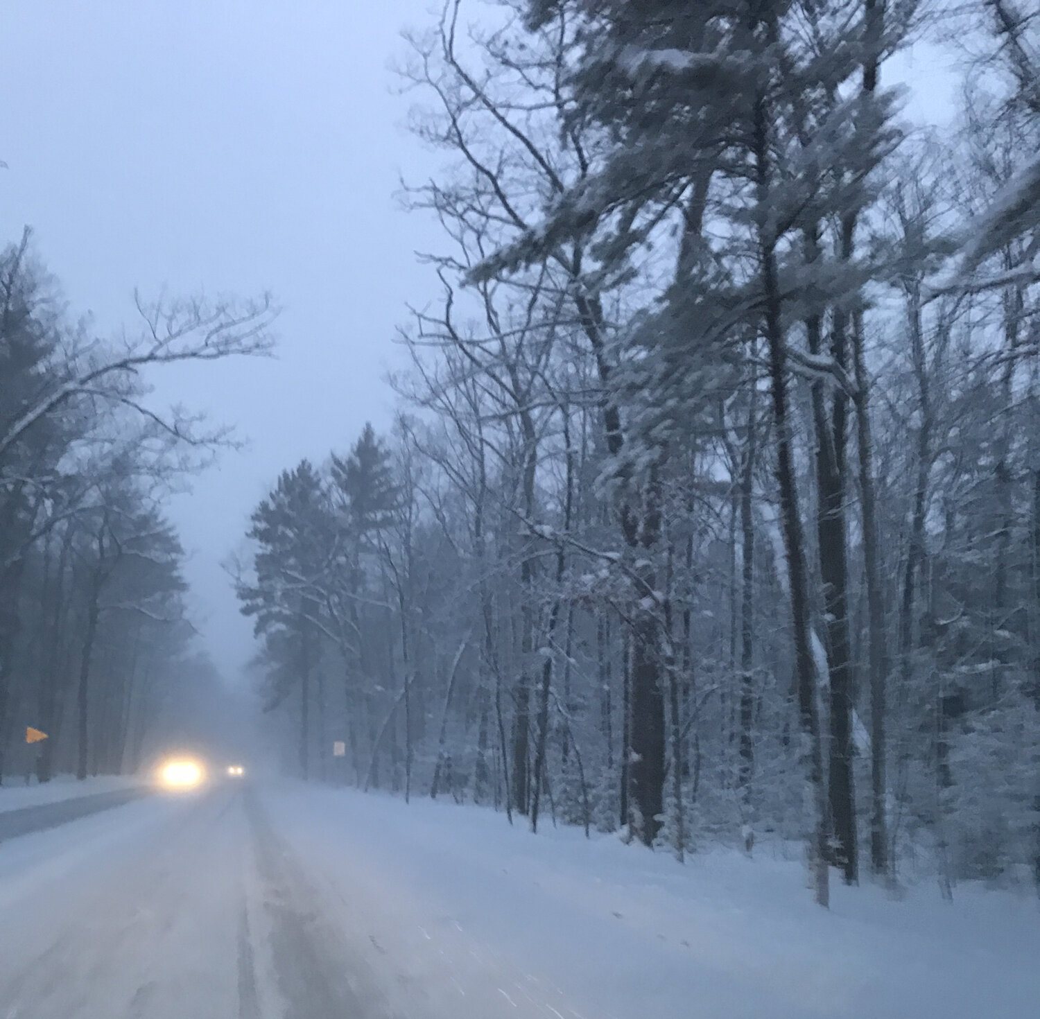 IMG_5740 Winter Wonderland Aleks Rosenberg