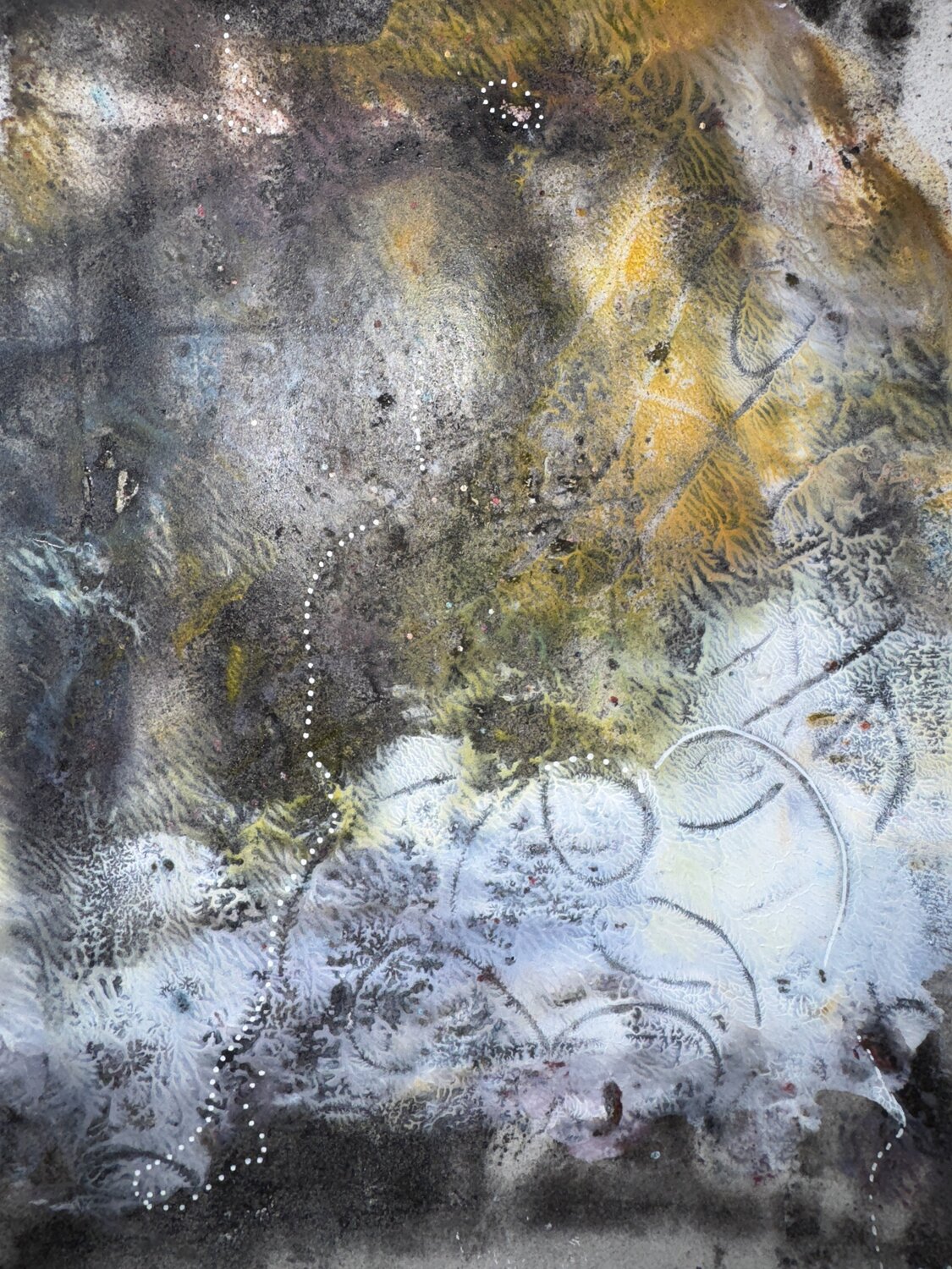 Monoprint 2 - Everglades Aleks Rosenberg