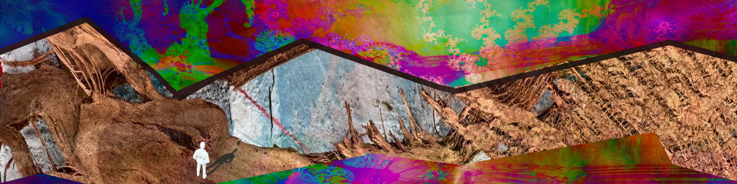 IMG_9327b  10x40  the chevron Aleks Rosenberg Photographie à vendre