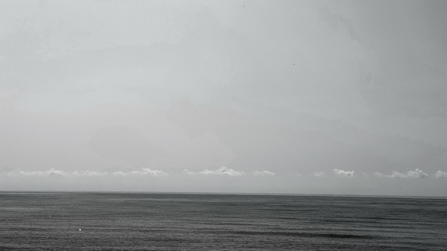 S-002 - THE CALM Aleks Rosenberg