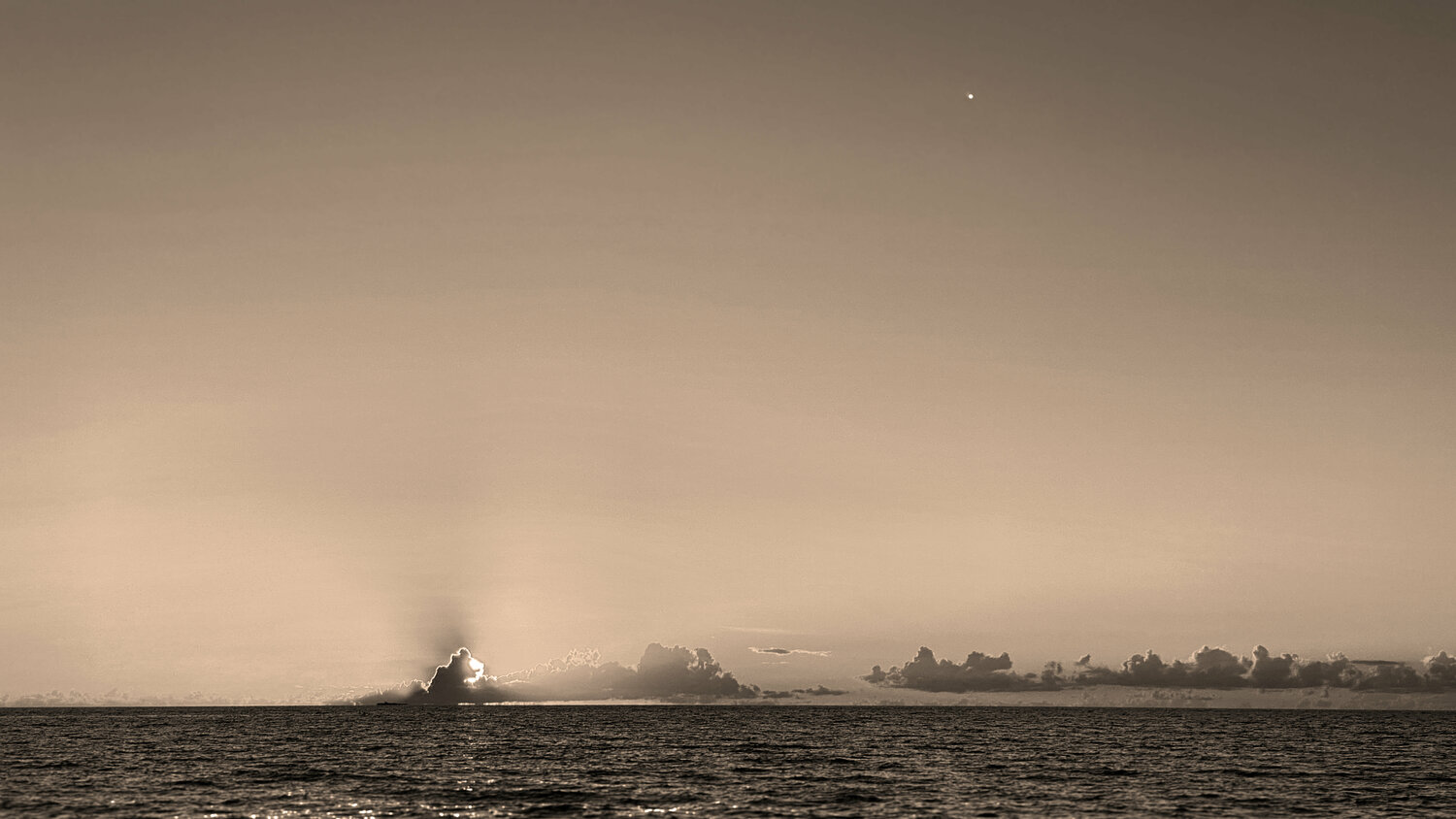 50 - YOU CAN COME OUT NOW Aleks Rosenberg