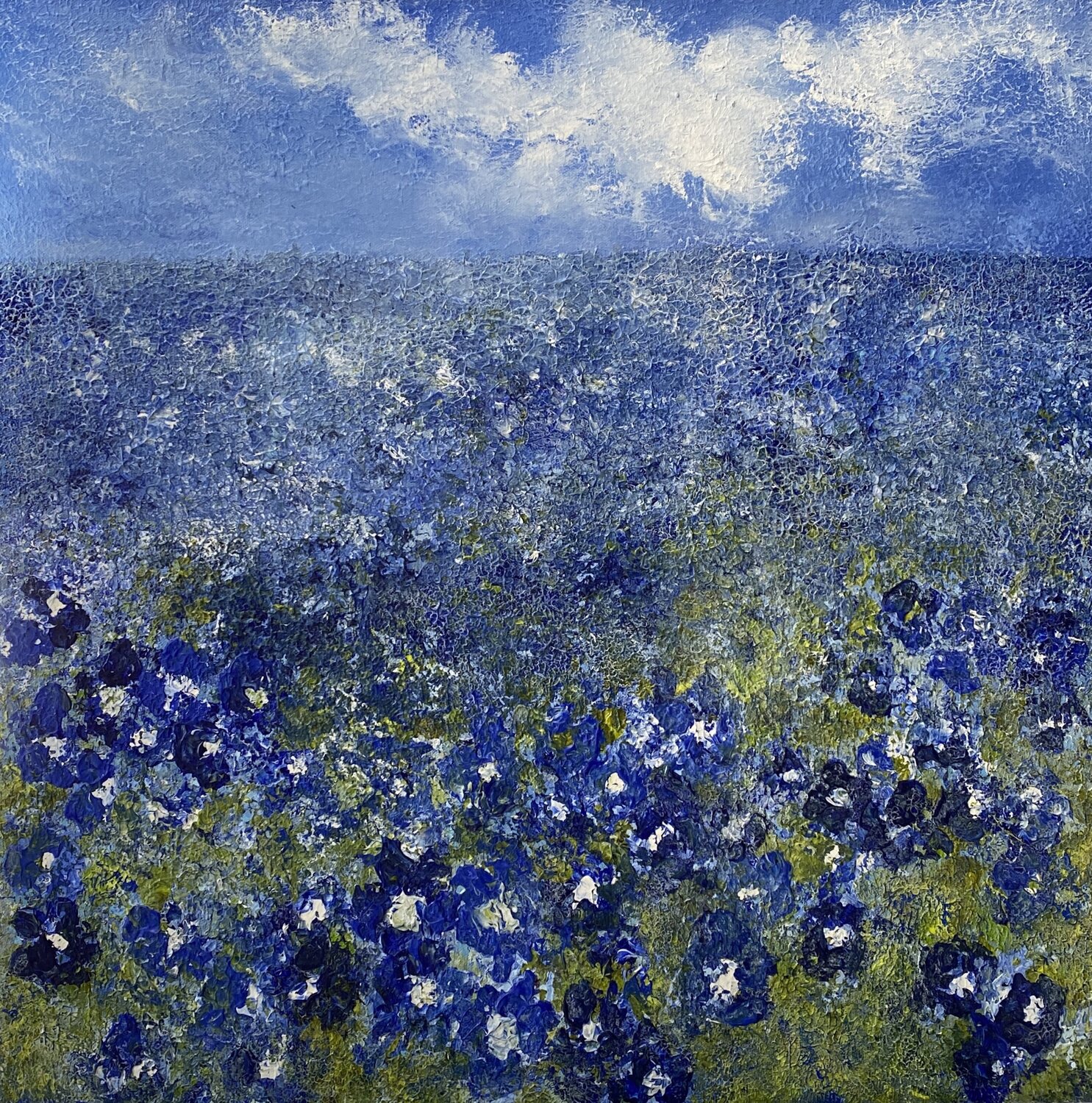 The Blue Field Wietzie