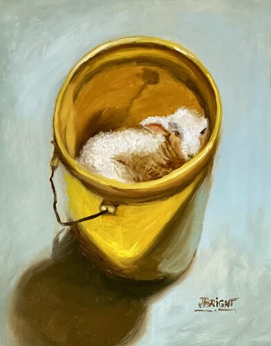 Lamb In A Bucket de Julia Bright, Pintura a la venta en Singulart