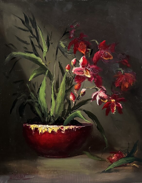 Mystery In Alizarin Julia Bright