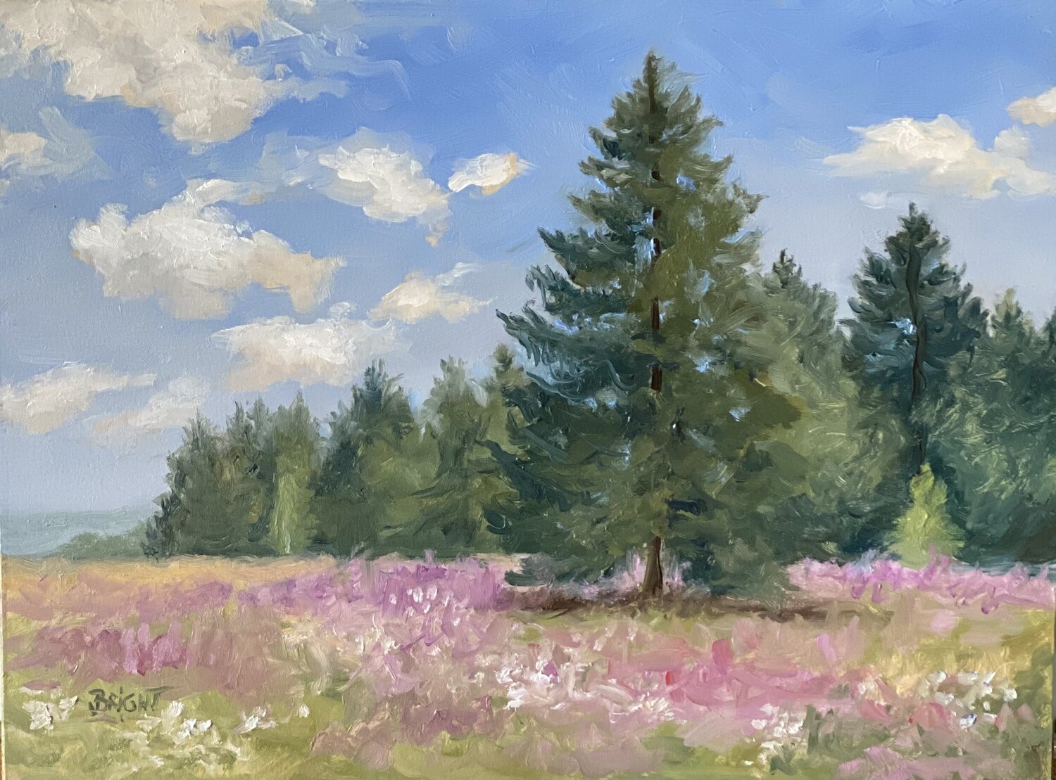 Pine Tree Study Julia Bright