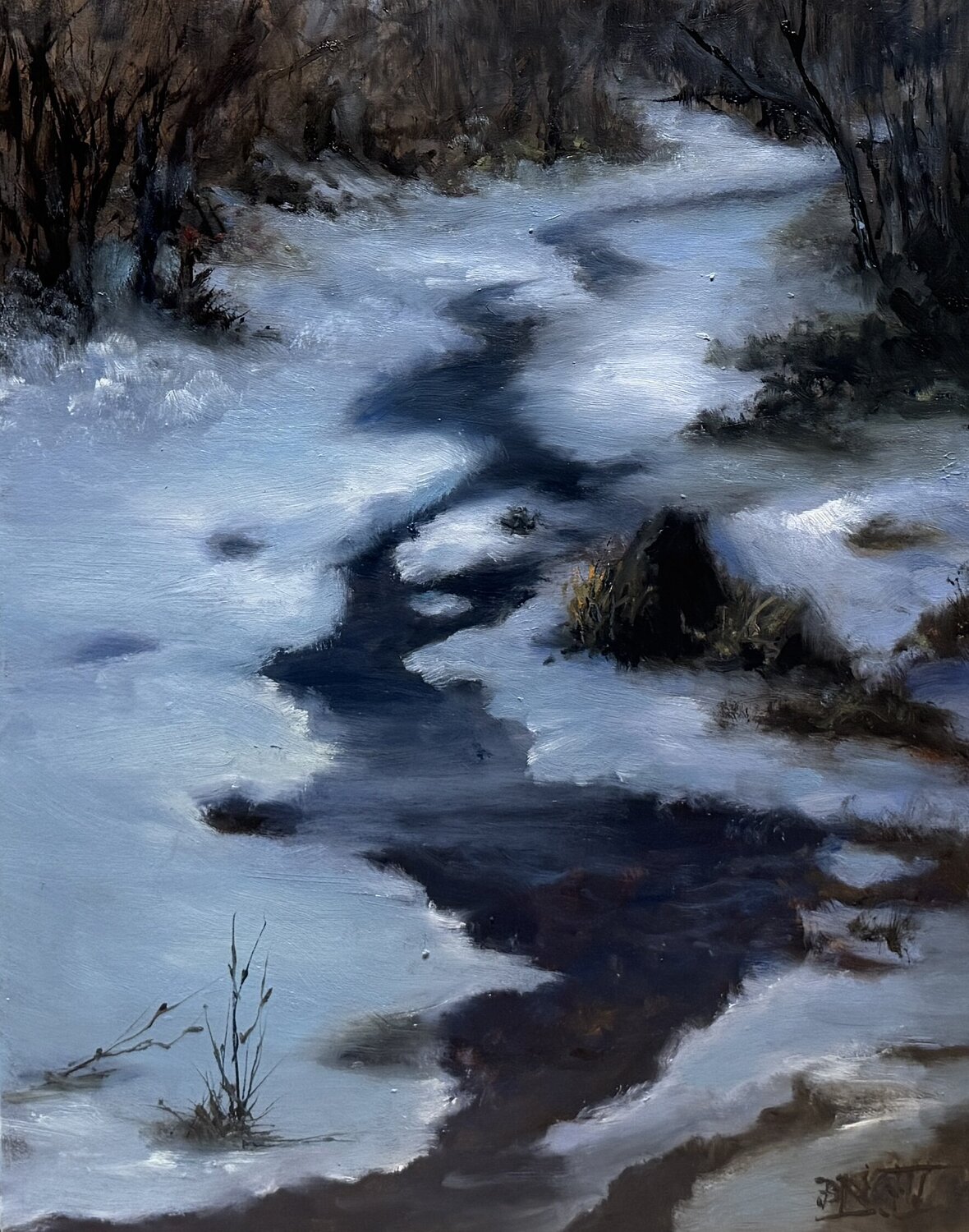 Icy Creek Julia Bright