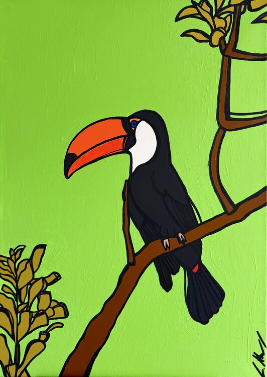 A Tucano in the Jungle Claudia Ahrens