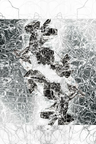 CRUCE DE CAMINOS van Bego Lafuente, Fotografie te koop op Singulart