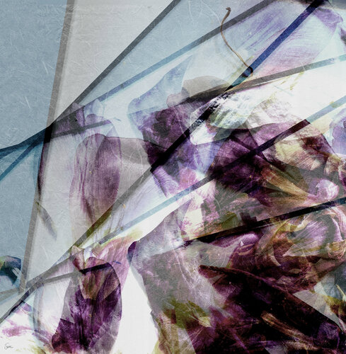 HUGE van Bego Lafuente, Fotografie te koop op Singulart