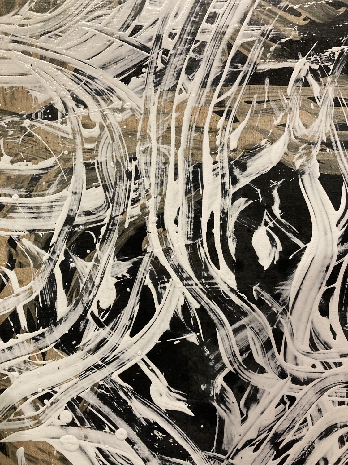 Spectrum Liuba & Javier Torres