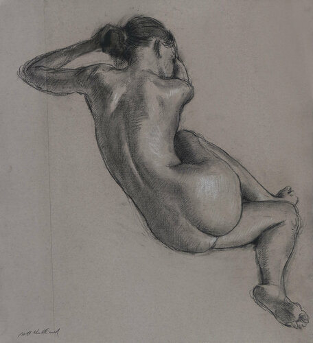 Suzy Curled by Harry Holland, Drawing for Sale on Singulart