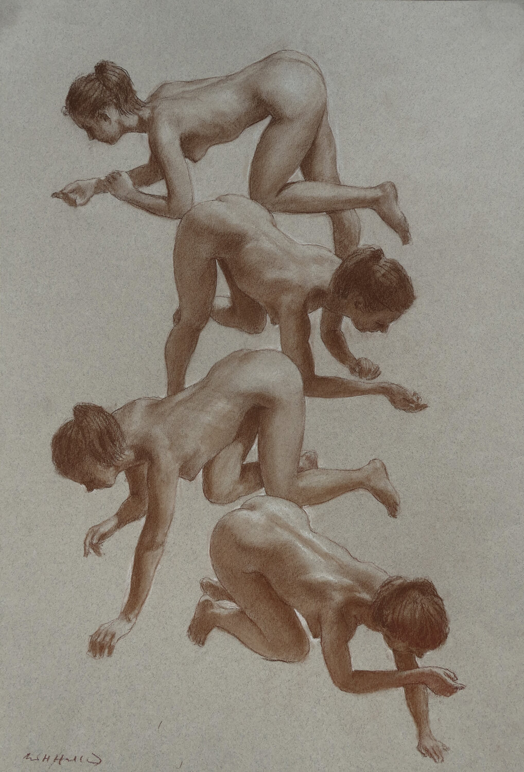 4 Studies Harry Holland