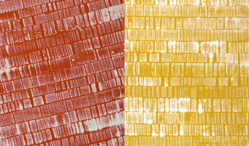 MTP NEG D # RO/J-12.07-20 Laurent Prudot