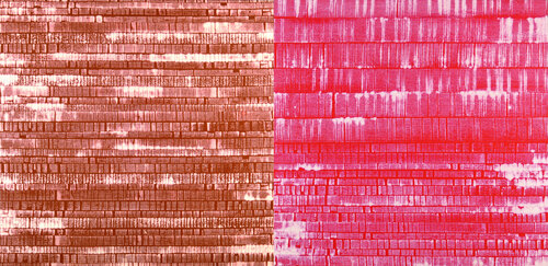 MTP NEG D 2 H# OC/M-12.07-15 Laurent Prudot