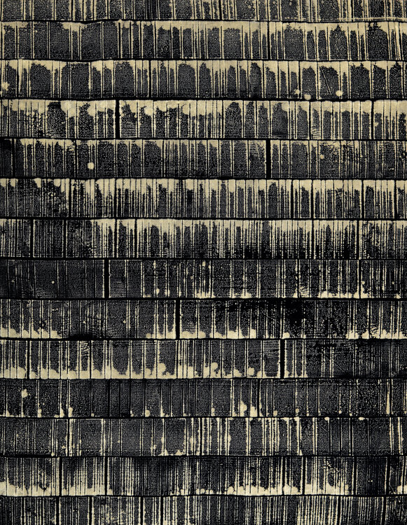 MTP NEGATIVES MONOCHROME NOIR 22.6-28 Laurent Prudot