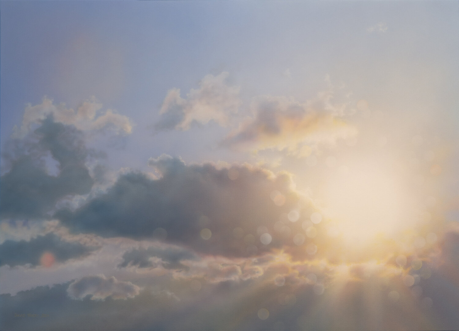 The Sun Revealed David Tracey