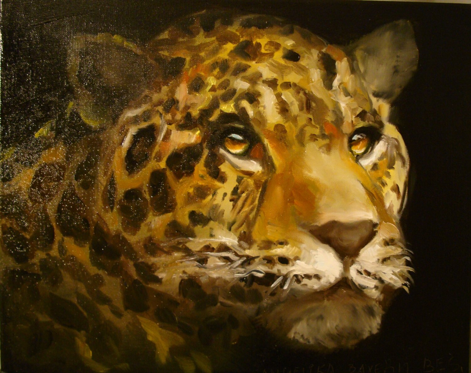 Jaguar Angelika Bes