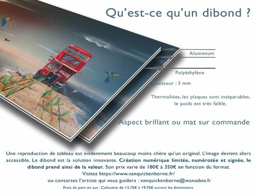 Qu'est-ce qu'un dibond ? What is a dibond ? Thierry Van Quickenborne