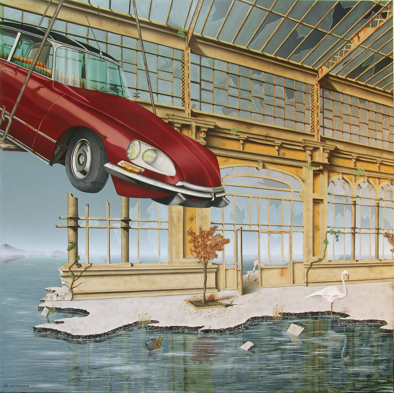 DS (Reproduction) Thierry Van Quickenborne