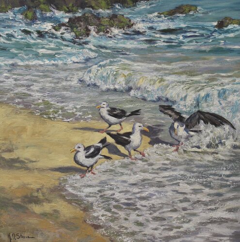 Seagulls And Surf van Kristen Olson Stone, Schilderij te koop op Singulart