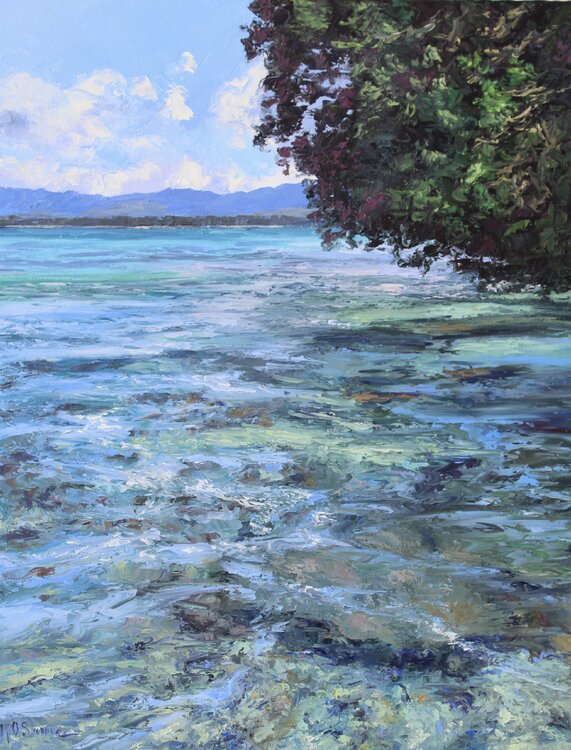 New Zealand Summer Kristen Olson Stone