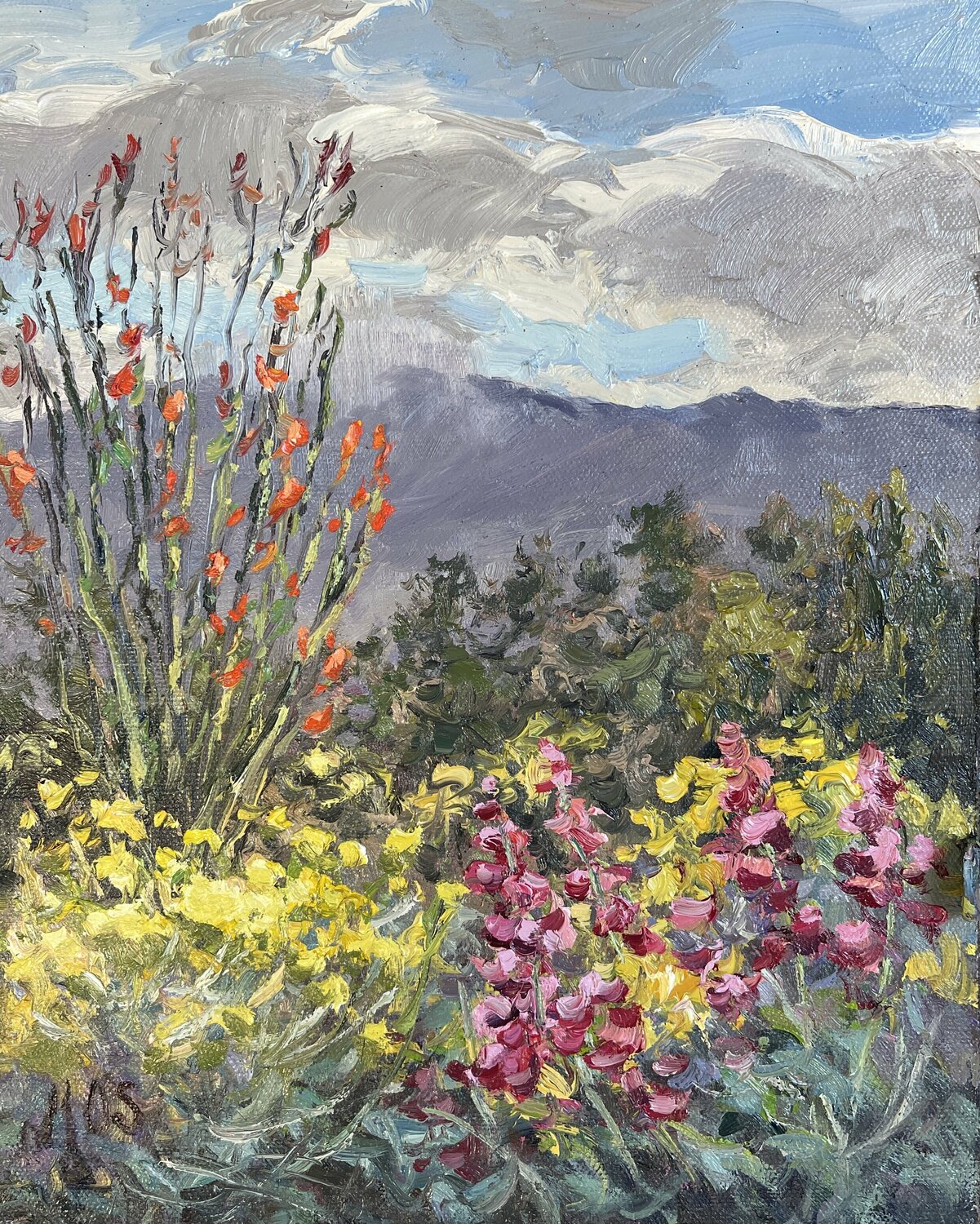 Desert Wildflowers Kristen Olson Stone