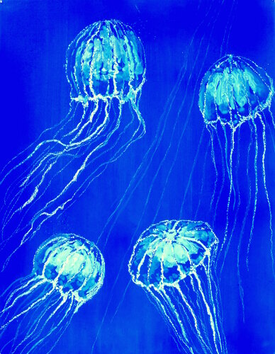 Méduses 1 van Isabelle Philips-Decramer, Werk op papier te koop op Singulart