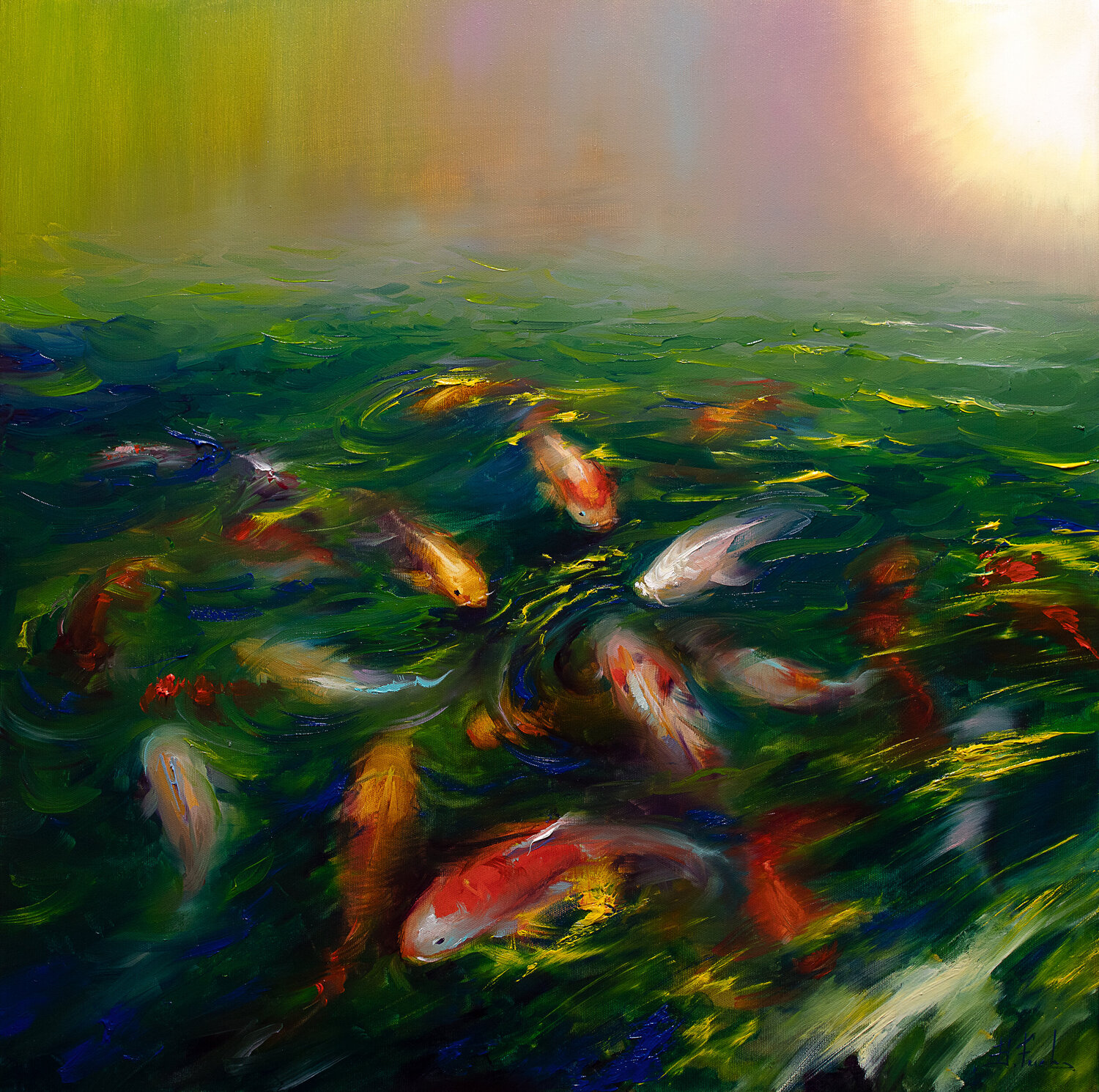 Koi fish in the pond Bozhena Fuchs