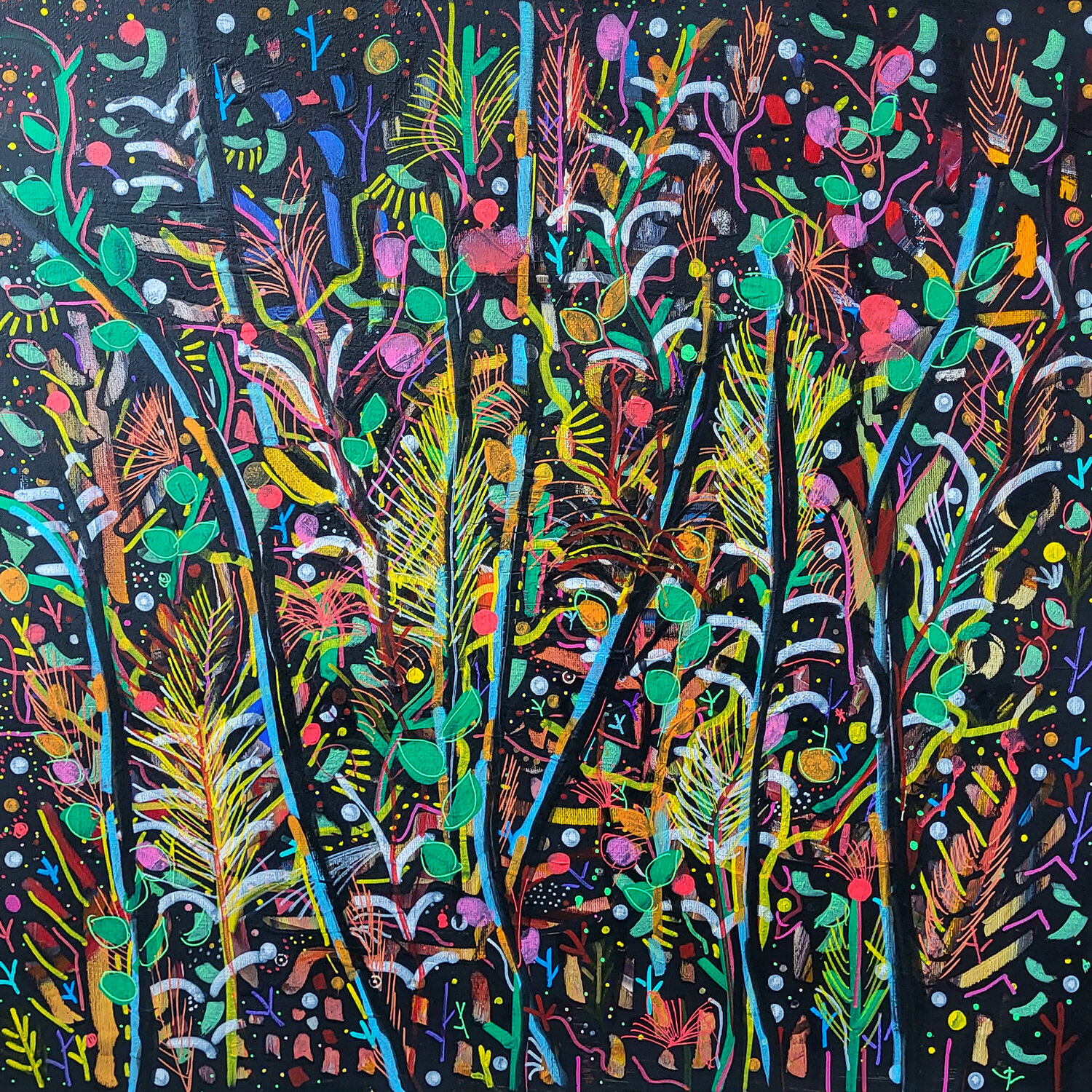 Forêt foraine Muriel Cayet