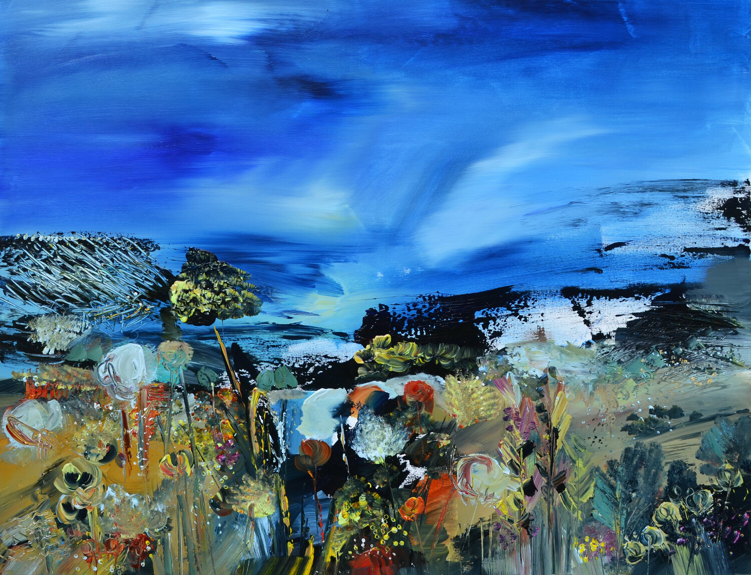 Le temps s'iimmobilise Muriel Cayet