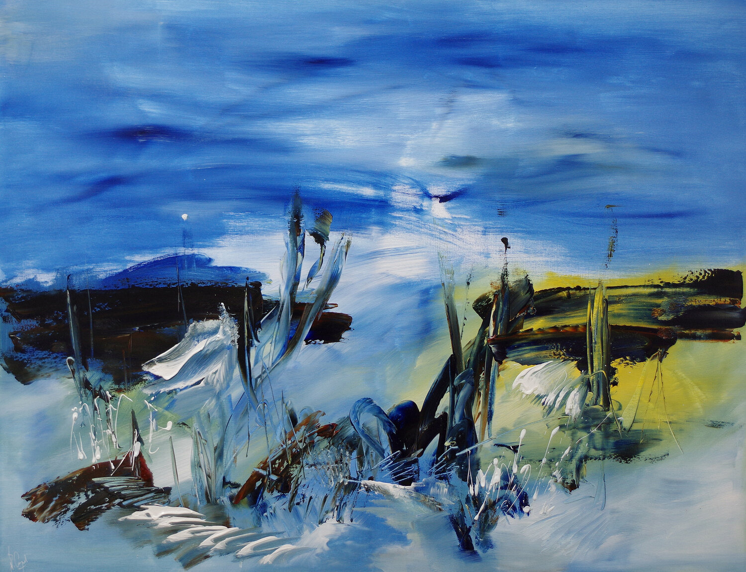 Un grand bleu naturel Muriel Cayet