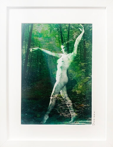 Like nobody's watching II von Peter Pitout, Werk auf Papier kaufen auf Singulart