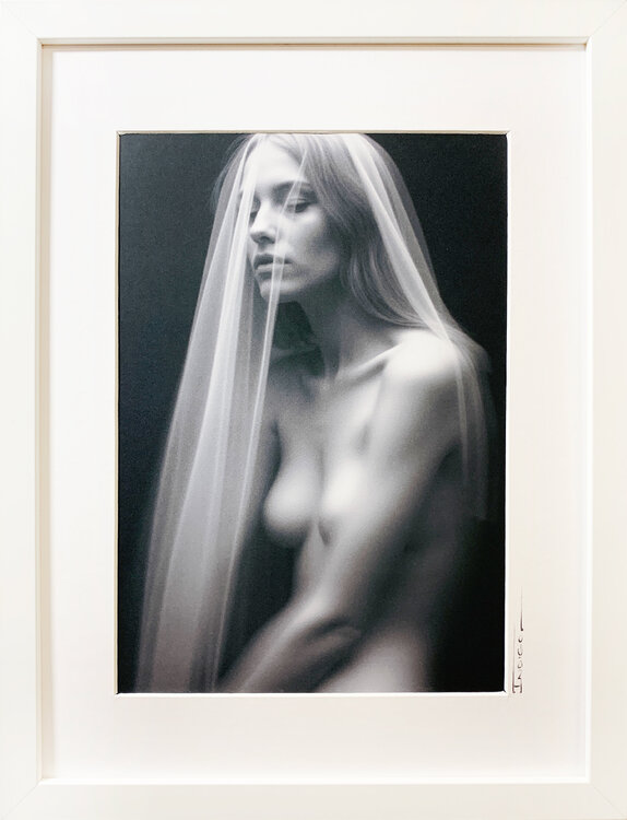 The Shroud II Peter Pitout