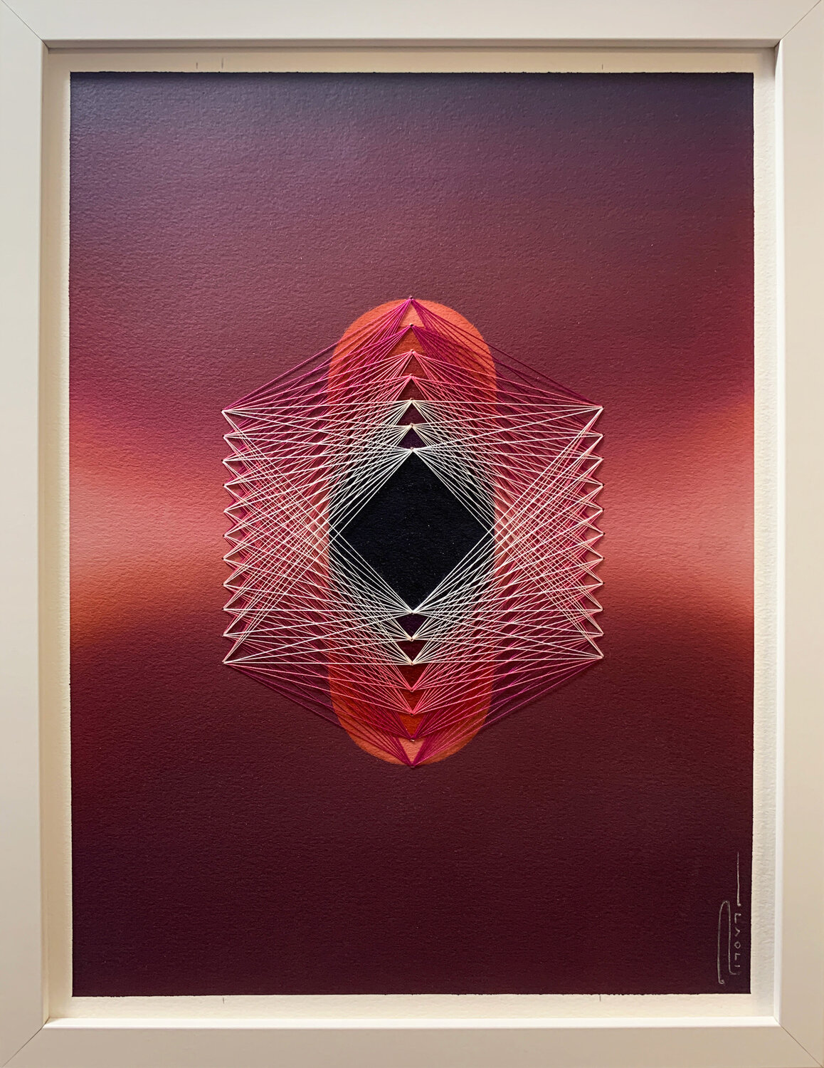 Oscillation Rose - IV Peter Pitout