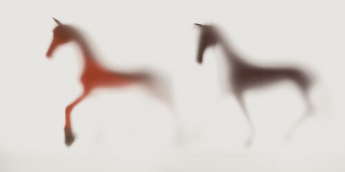 WILD LENS - HORSES XIV Sven Pfrommer