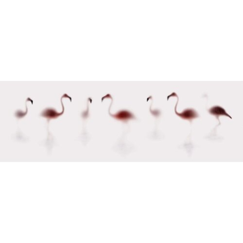 WILD LENS - FLAMINGOS Sven Pfrommer