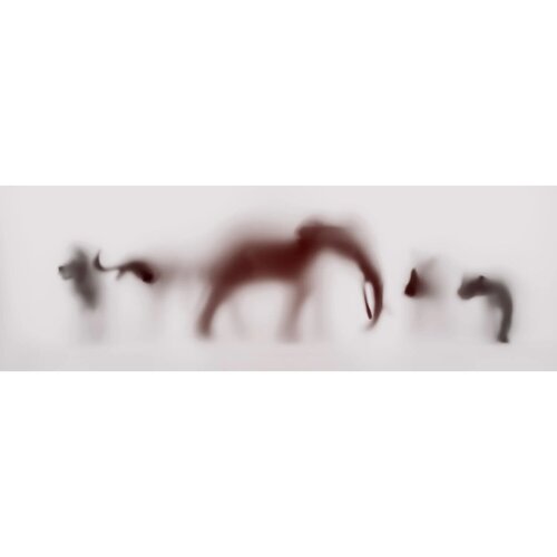 WILD LENS - BIG FIVE II par Sven Pfrommer, Photographie en vente sur Singulart